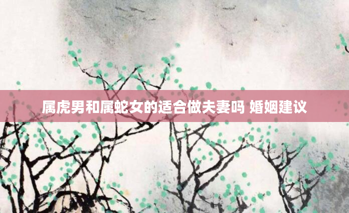 属虎男和属蛇女的适合做夫妻吗 婚姻建议