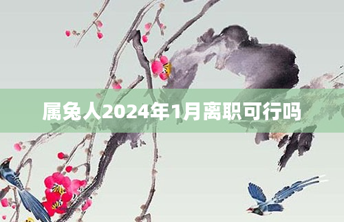 属兔人2024年1月离职可行吗