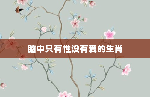 脑中只有性没有爱的生肖