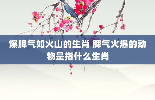 爆脾气如火山的生肖 脾气火爆的动物是指什么生肖