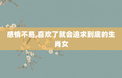 感情不易,喜欢了就会追求到底的生肖女