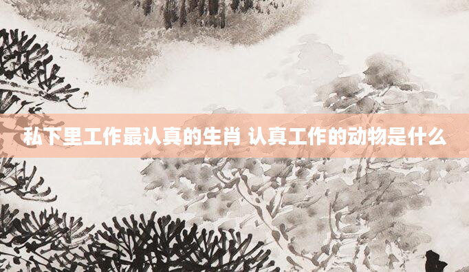 私下里工作最认真的生肖 认真工作的动物是什么