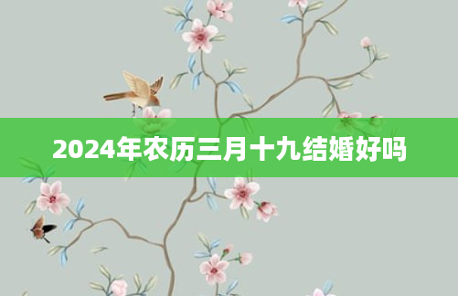 2024年农历三月十九结婚好吗