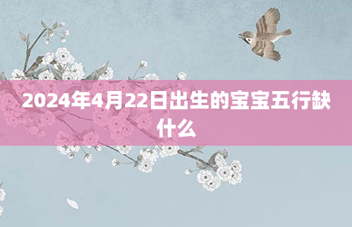 2024年4月22日出生的宝宝五行缺什么