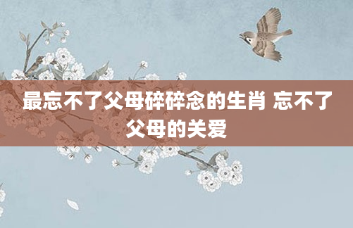 最忘不了父母碎碎念的生肖 忘不了父母的关爱