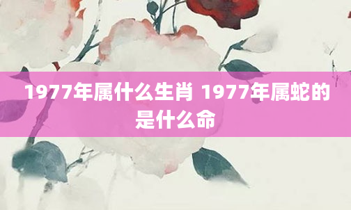 1977年属什么生肖 1977年属蛇的是什么命