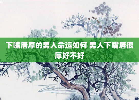 下嘴唇厚的男人命运如何 男人下嘴唇很厚好不好