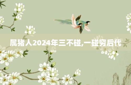 属猪人2024年三不碰,一碰穷后代