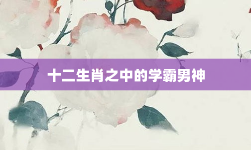 十二生肖之中的学霸男神