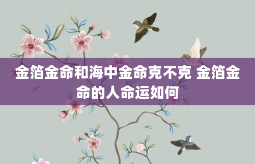 金箔金命和海中金命克不克 金箔金命的人命运如何