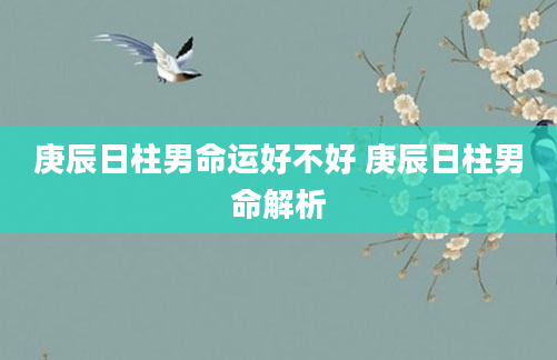 庚辰日柱男命运好不好 庚辰日柱男命解析