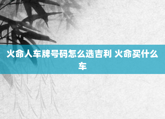 火命人车牌号码怎么选吉利 火命买什么车