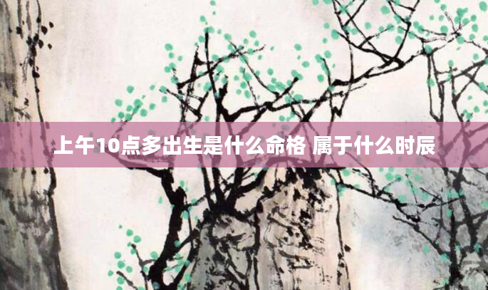 上午10点多出生是什么命格 属于什么时辰
