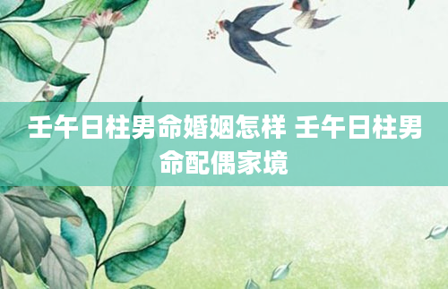 壬午日柱男命婚姻怎样 壬午日柱男命配偶家境