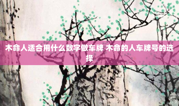 木命人适合用什么数字做车牌 木命的人车牌号的选择