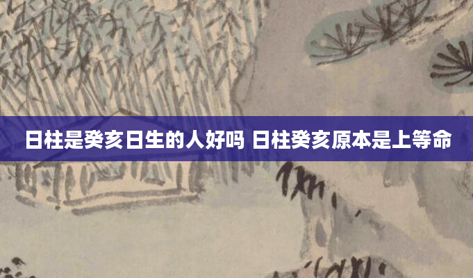 日柱是癸亥日生的人好吗 日柱癸亥原本是上等命