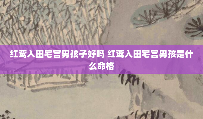 红鸾入田宅宫男孩子好吗 红鸾入田宅宫男孩是什么命格