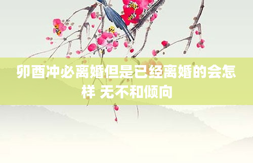 卯酉冲必离婚但是已经离婚的会怎样 无不和倾向