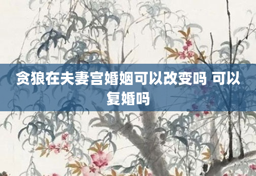 贪狼在夫妻宫婚姻可以改变吗 可以复婚吗