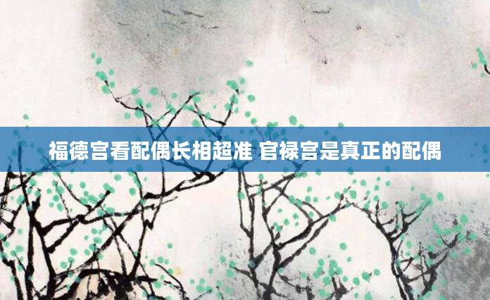 福德宫看配偶长相超准 官禄宫是真正的配偶