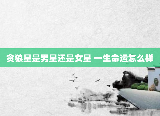 贪狼星是男星还是女星 一生命运怎么样