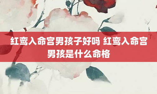 红鸾入命宫男孩子好吗 红鸾入命宫男孩是什么命格