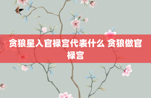 贪狼星入官禄宫代表什么 贪狼做官禄宫
