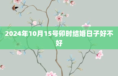 2024年10月15号卯时结婚日子好不好