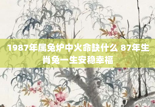 1987年属兔炉中火命缺什么 87年生肖兔一生安稳幸福