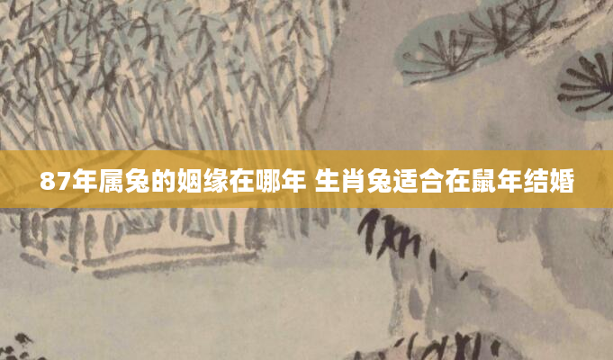 87年属兔的姻缘在哪年 生肖兔适合在鼠年结婚