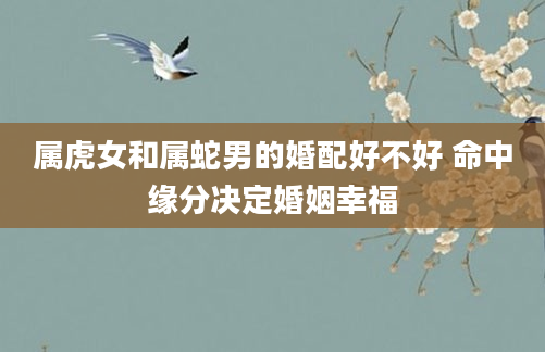 属虎女和属蛇男的婚配好不好 命中缘分决定婚姻幸福