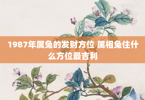 1987年属兔的发财方位 属相兔住什么方位最吉利