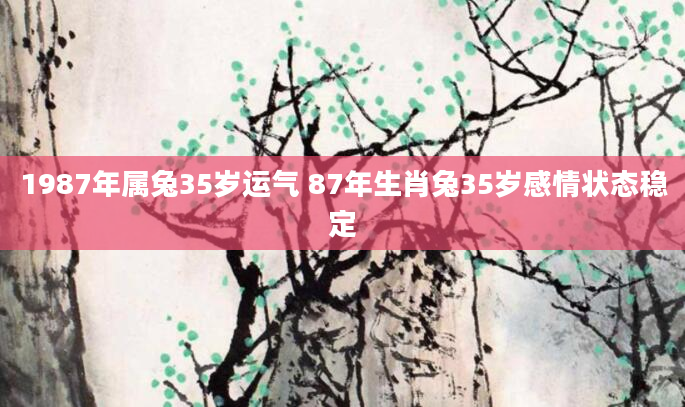 1987年属兔35岁运气 87年生肖兔35岁感情状态稳定