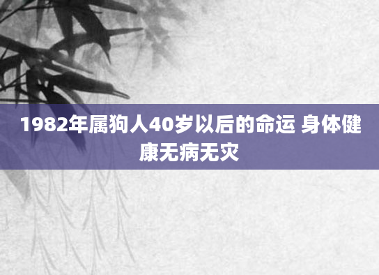 1982年属狗人40岁以后的命运 身体健康无病无灾