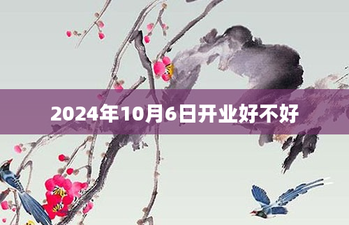 2024年10月6日开业好不好