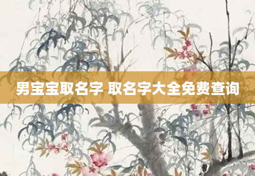 男宝宝取名字 取名字大全免费查询