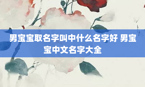 男宝宝取名字叫中什么名字好 男宝宝中文名字大全