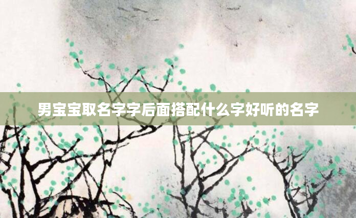 男宝宝取名字字后面搭配什么字好听的名字