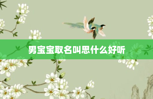 男宝宝取名叫思什么好听