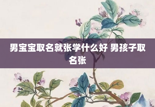 男宝宝取名就张学什么好 男孩子取名张