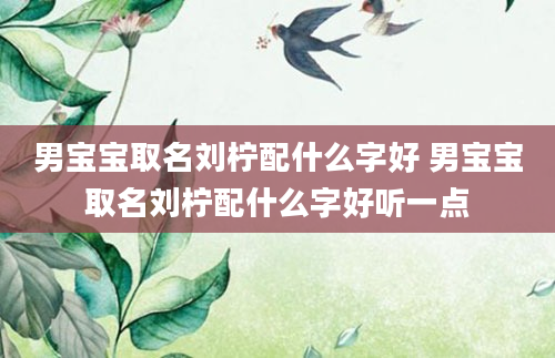 男宝宝取名刘柠配什么字好 男宝宝取名刘柠配什么字好听一点