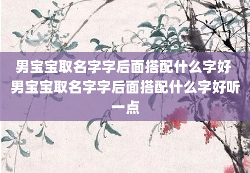 男宝宝取名字字后面搭配什么字好 男宝宝取名字字后面搭配什么字好听一点