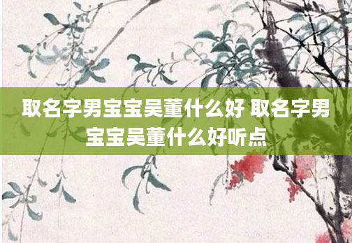 取名字男宝宝吴董什么好 取名字男宝宝吴董什么好听点