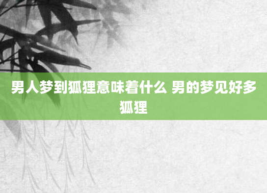 男人梦到狐狸意味着什么 男的梦见好多狐狸