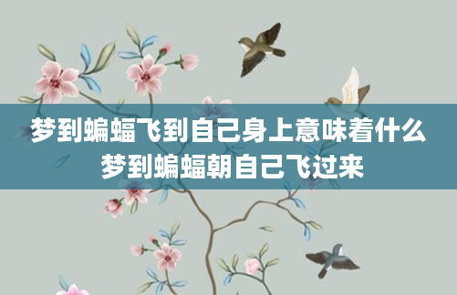 梦到蝙蝠飞到自己身上意味着什么 梦到蝙蝠朝自己飞过来