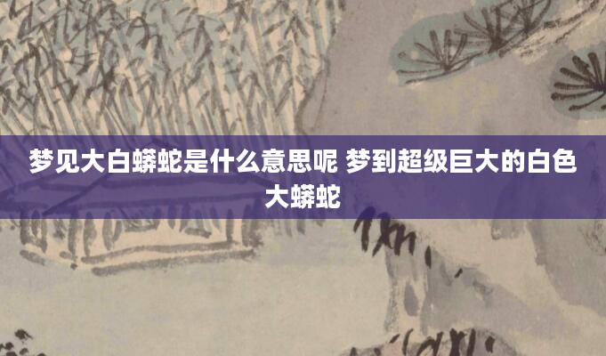梦见大白蟒蛇是什么意思呢 梦到超级巨大的白色大蟒蛇
