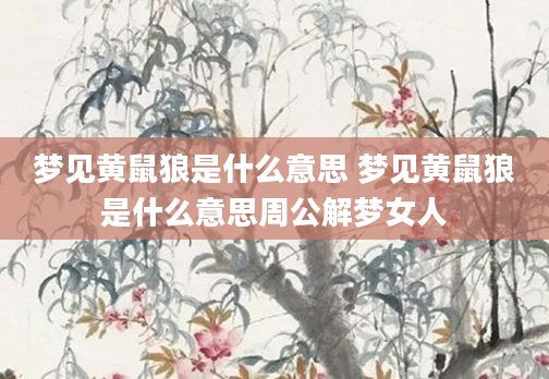 梦见黄鼠狼是什么意思 梦见黄鼠狼是什么意思周公解梦女人