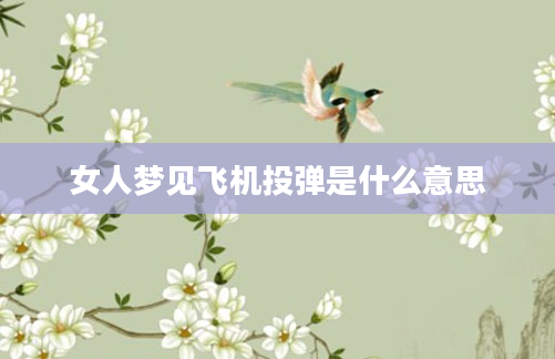女人梦见飞机投弹是什么意思