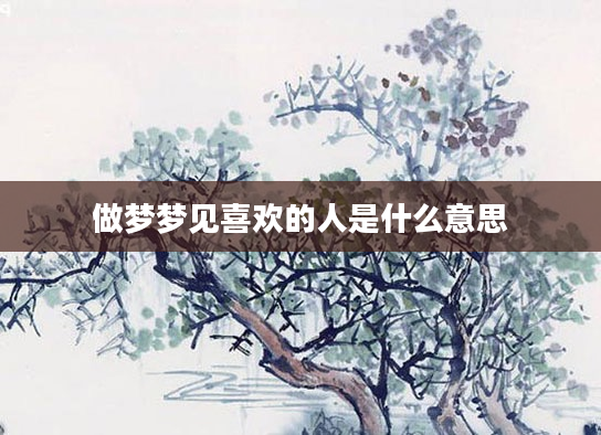 做梦梦见喜欢的人是什么意思