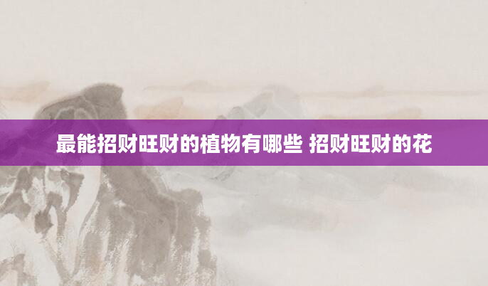 最能招财旺财的植物有哪些 招财旺财的花